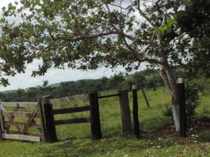 Venda de uma chacara R$ 1.200.000,00