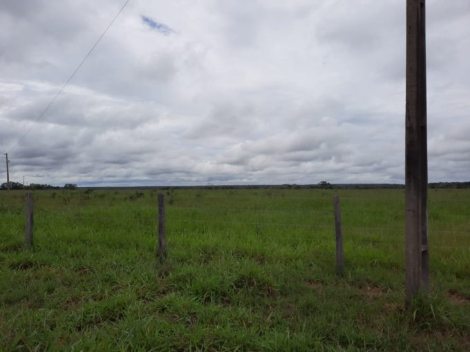 VENDA DE FAZENDA EM MUTUM